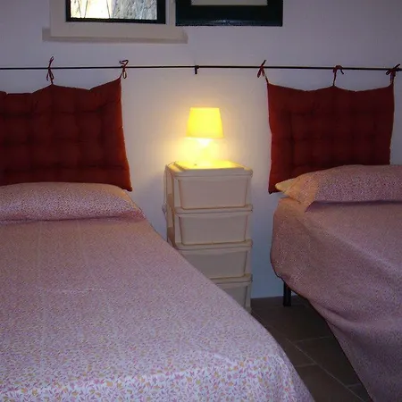 Lecortidituglie